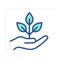 Opieka stacjonarna i online